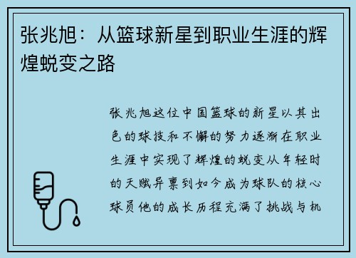 /uploads/images/20250723/zhang-zhao-xu-cong-lan-qiu-xin-xing-dao-zhi-ye-sheng-ya-de-hui-huang-tui-bian-zhi-lu.webp